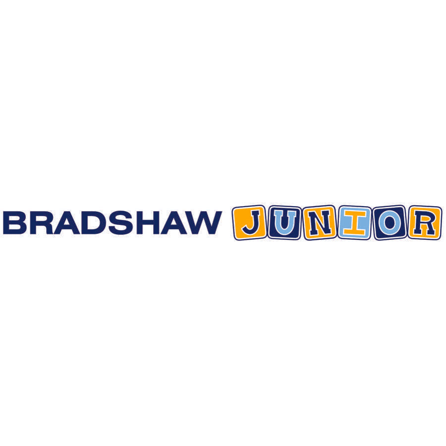 Bradshaw Junior Low Bed without Side Rails - Humber Mobility Centre