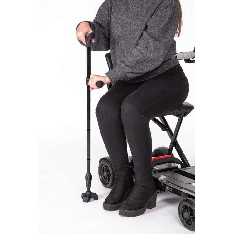 Twin Handled Walking Stick - Humber Mobility Centre